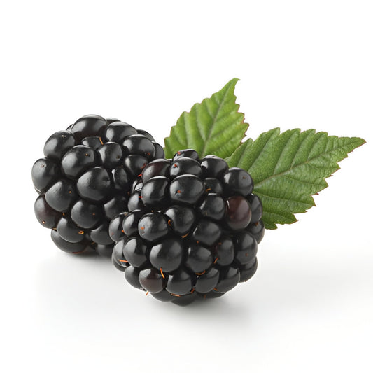 Blackberries - 12x6oz