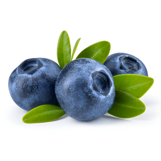 Blueberries – 12 lb Box (12 x 1 lb Packs)
