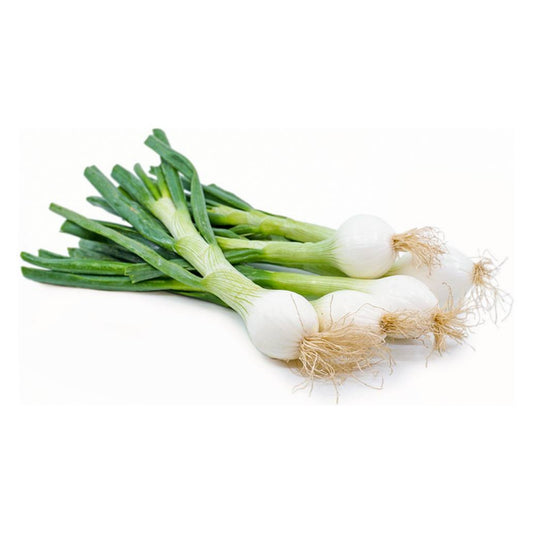 Fresh Green Onion- (Box of 48)